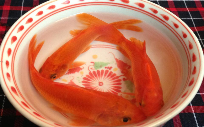 thắp hương ông công ông táo thắp hương ông công ông táo