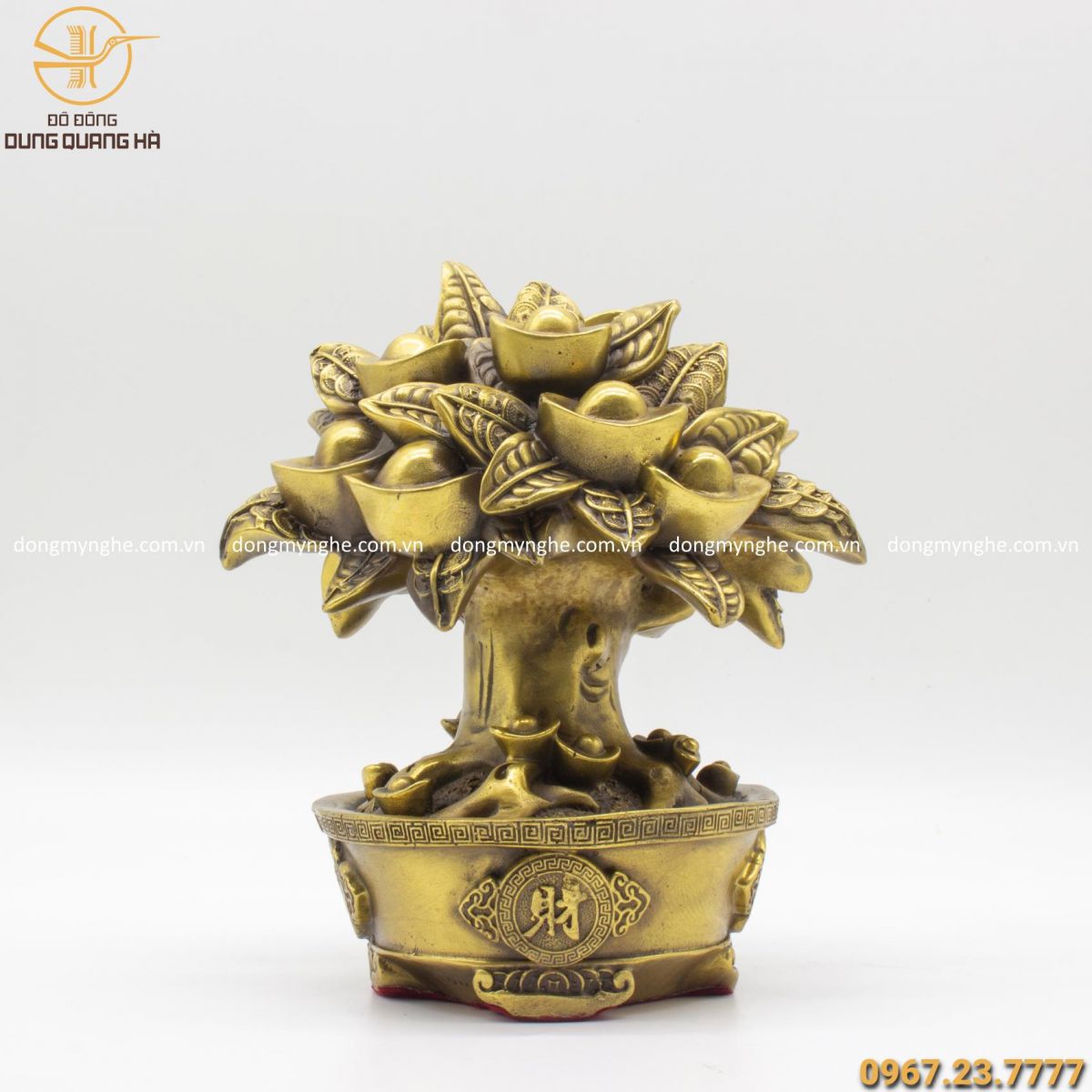 cây kim tiền bằng đồng