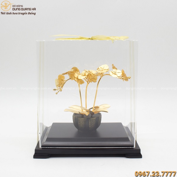 quà mừng thọ giá rẻ