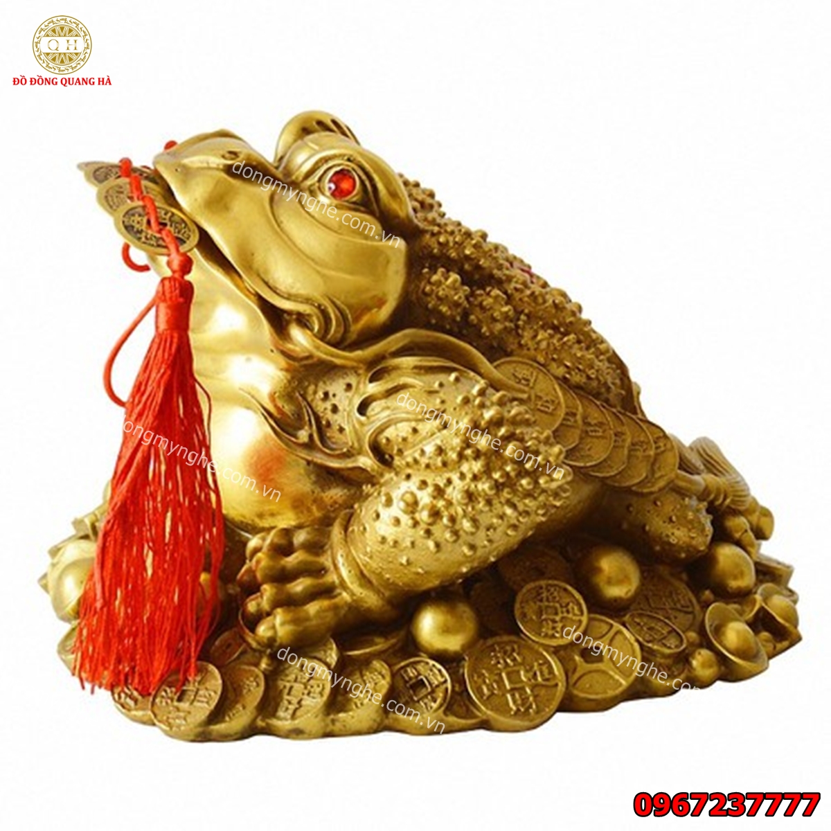 Cóc ngậm tiền 5
