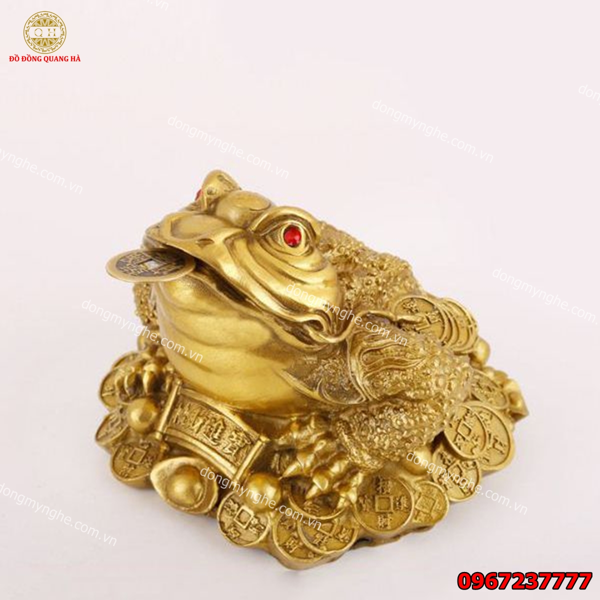 Cóc ngậm tiền 6