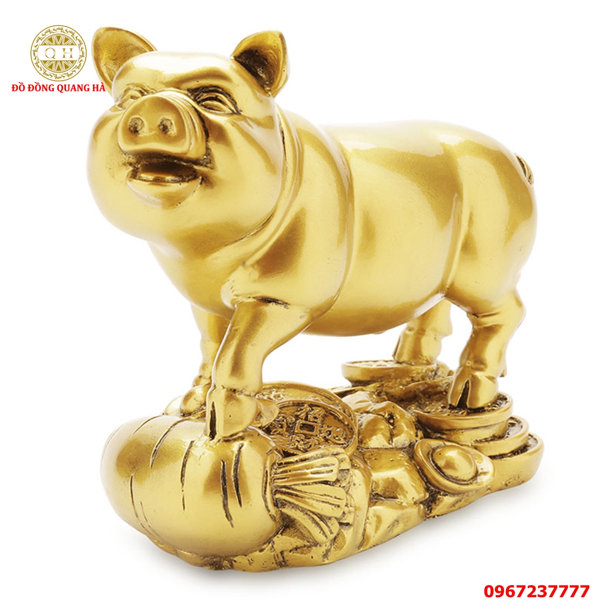 Heo phong thủy 7 Heo phong thủy 7