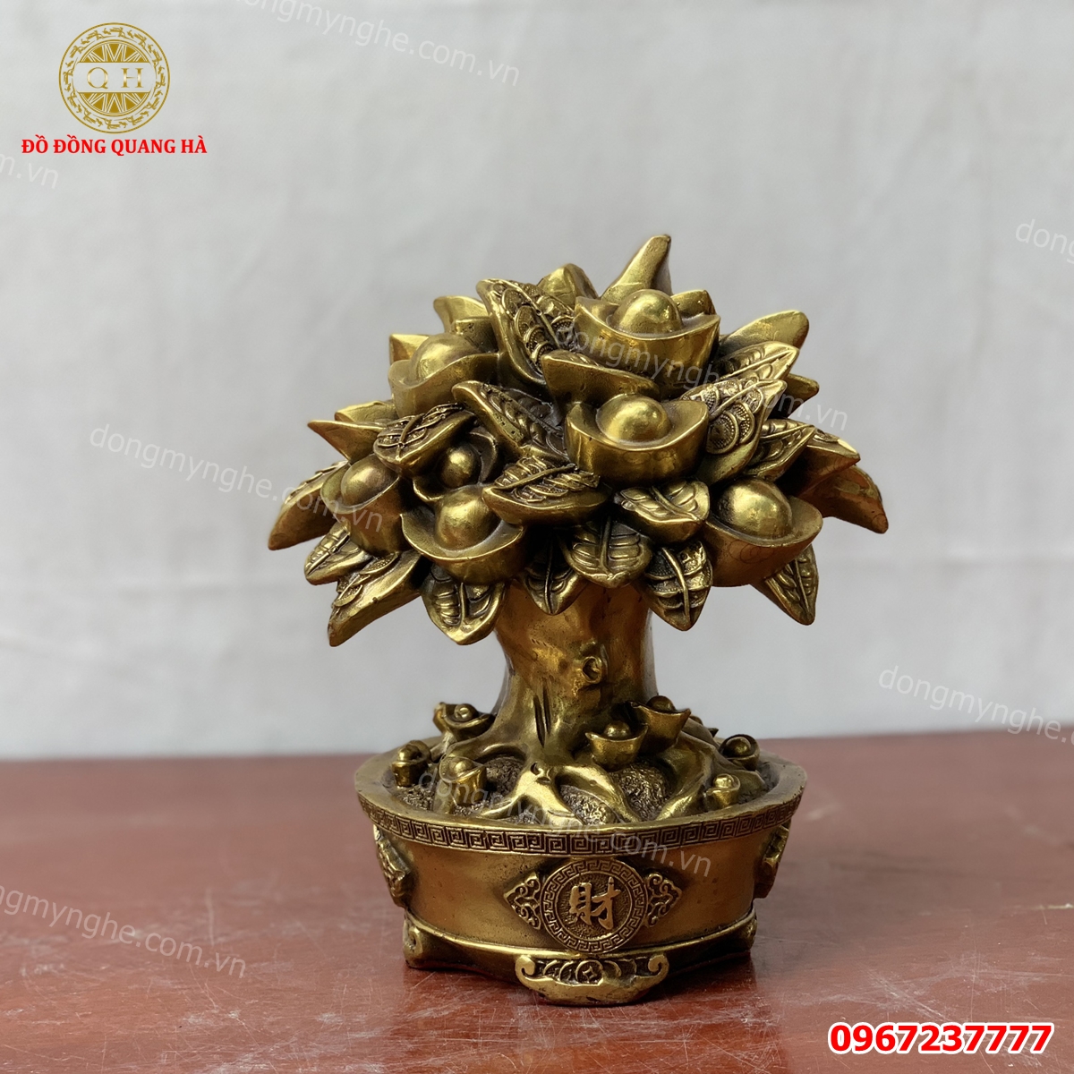 Cây phong thủy sanh tiền tài lộc 3