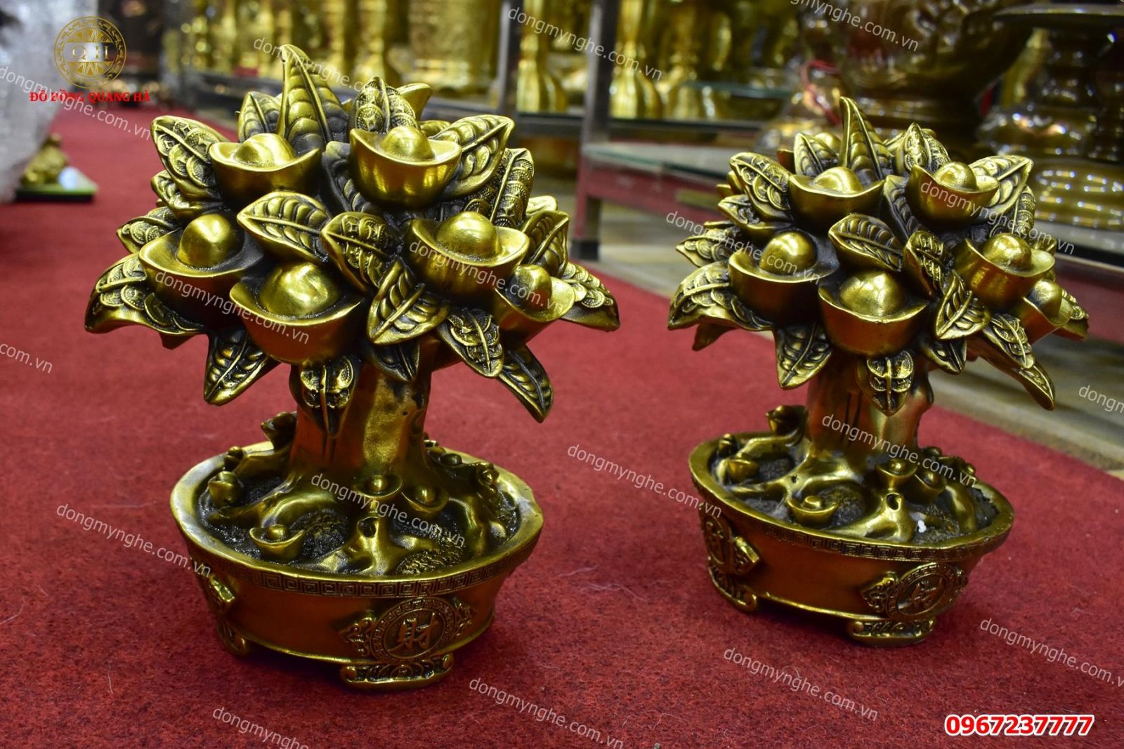 Cây phong thủy sanh tiền tài lộc 2