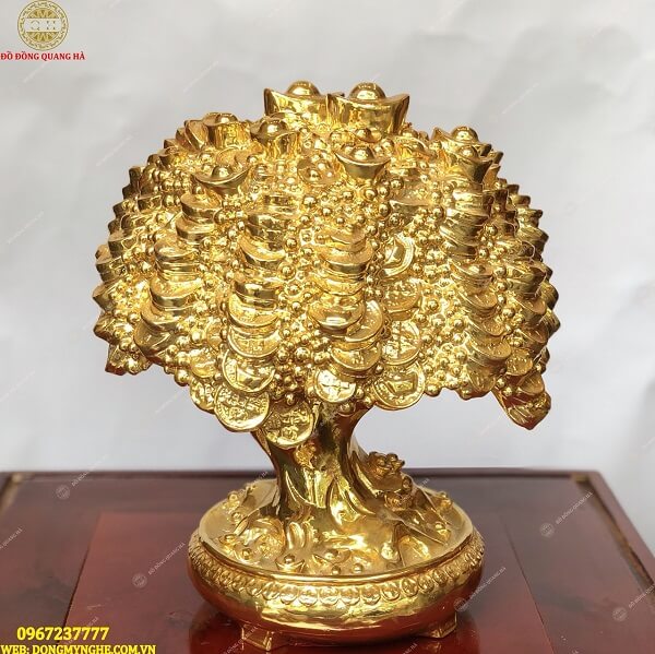 Cây phong thủy sanh tiền tài lộc 1