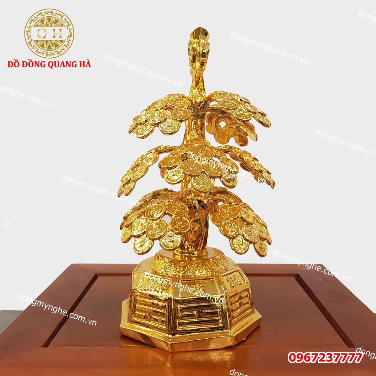 Cây tài lộc mạ vàng