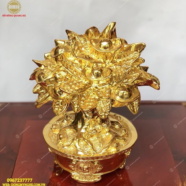 Cây tài lộc Cây tài lộc