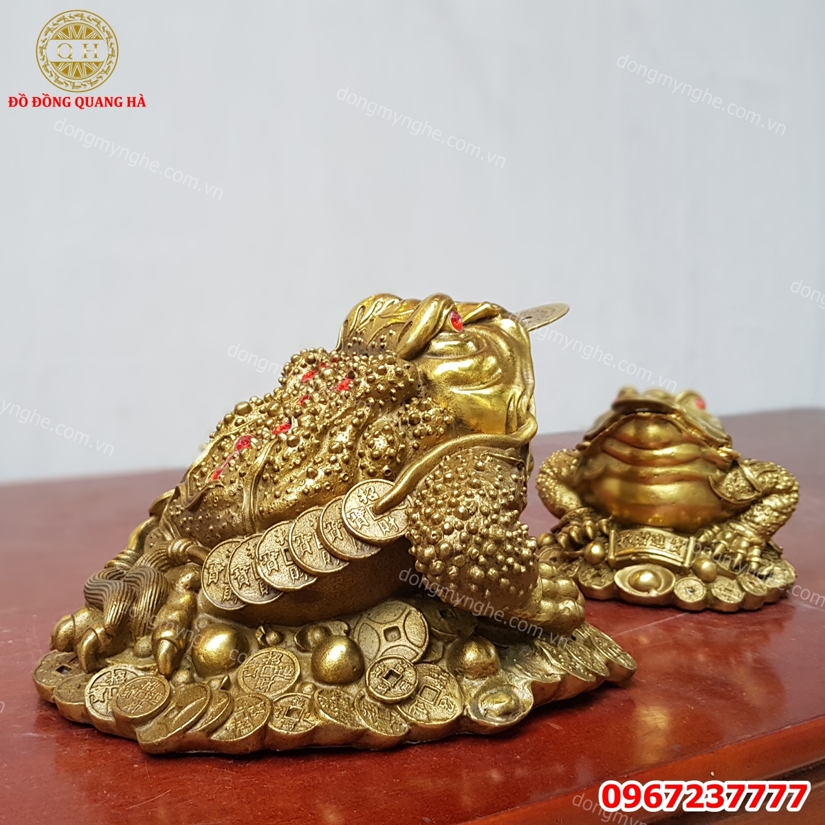 Thiềm thừ đẹp