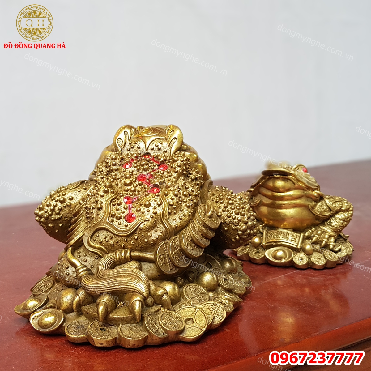 Mẫu cóc ngậm tiền đẹp