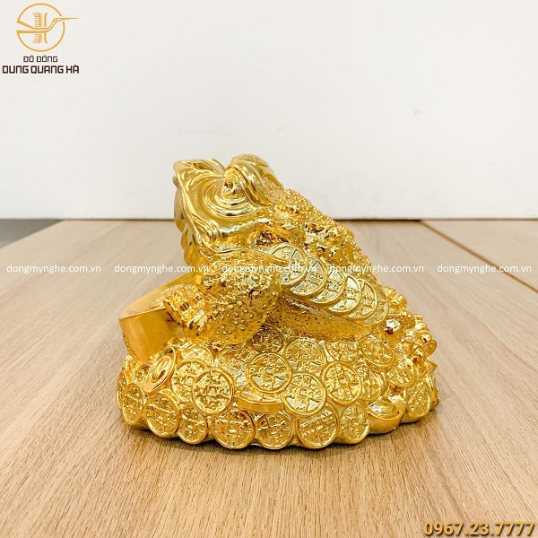 mua thiềm thừ ở đâu hà nội 