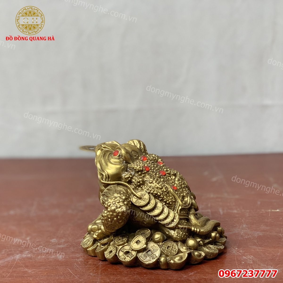 Mua thiềm thừ ở hà nội 