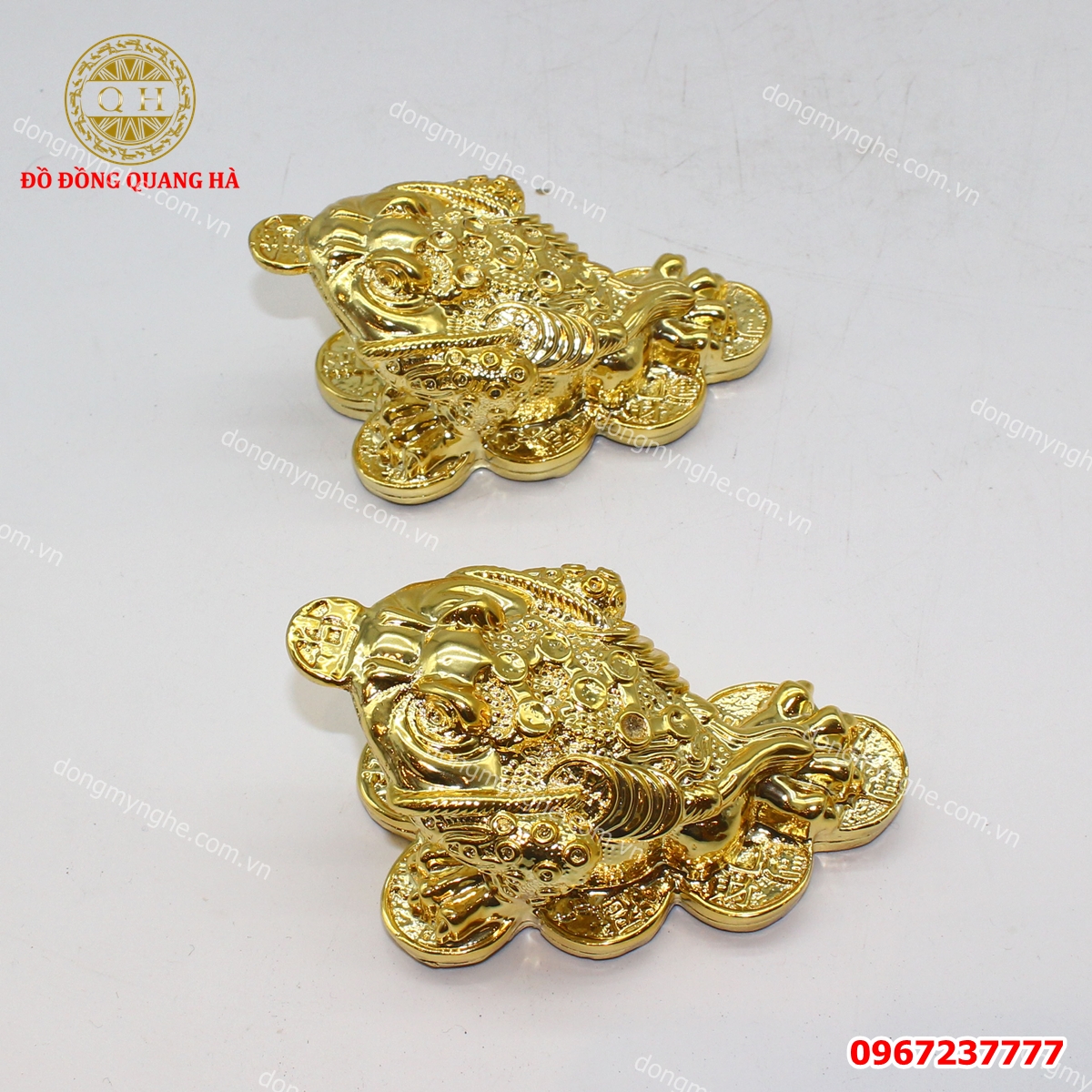 Mua thiềm thừ ở hà nội 