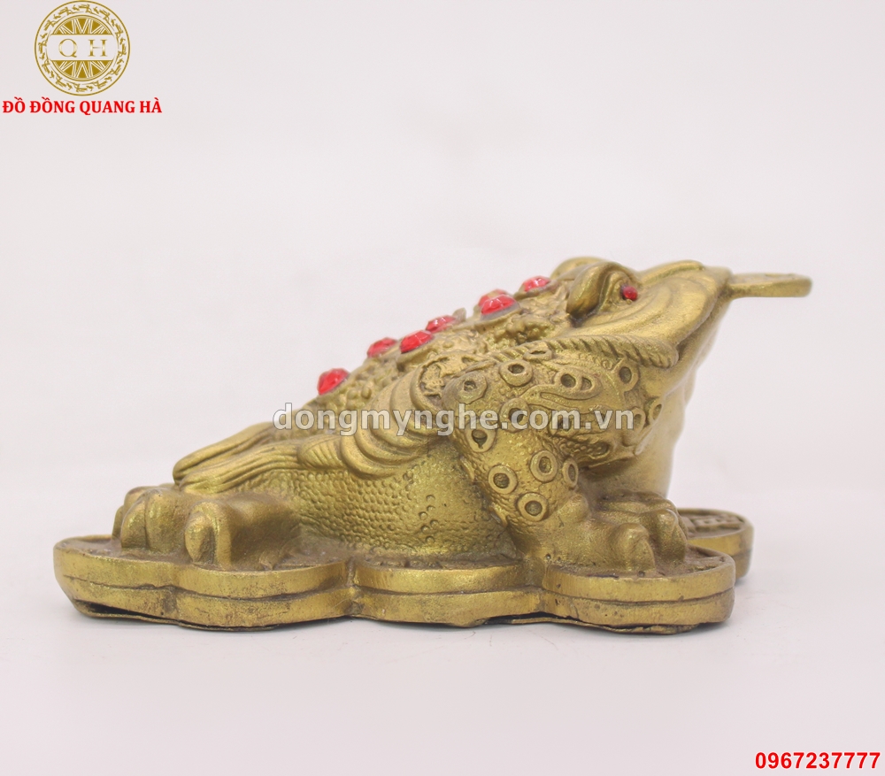 Thiềm thừ giá bao nhiêu