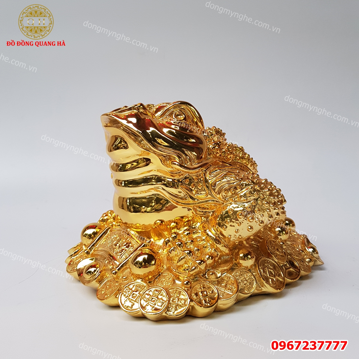 Thiềm thừ mạ vàng 