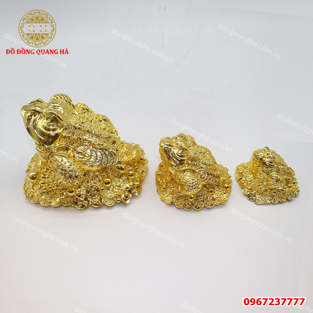 Thiềm thừ mạ vàng 