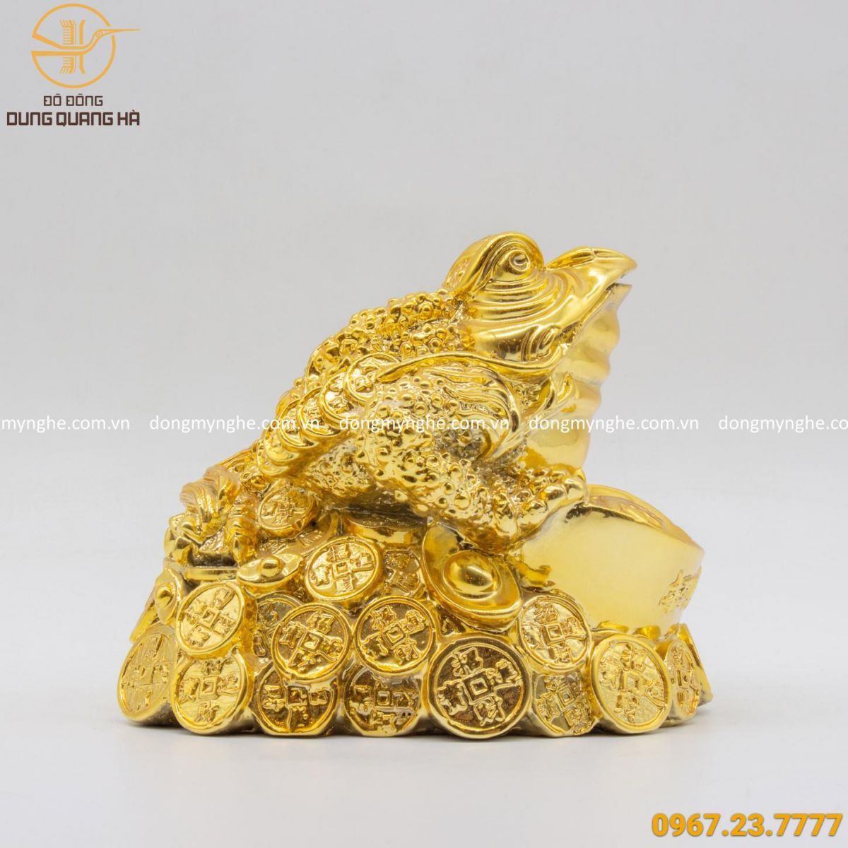 bán thiềm thừ phong thủy bán thiềm thừ phong thủy