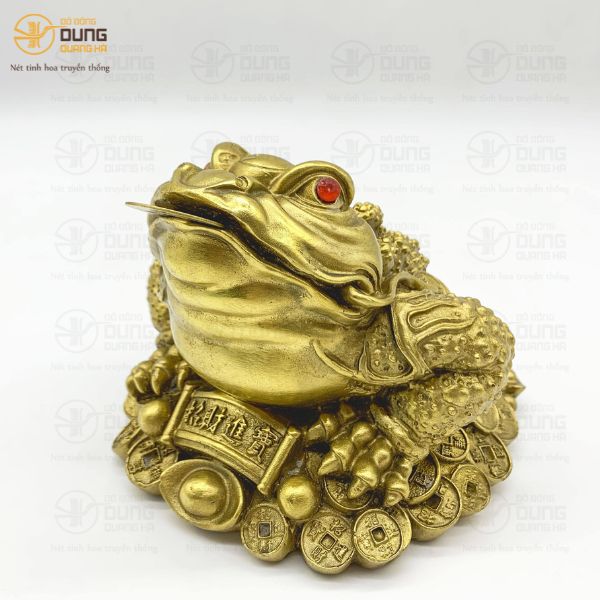    6 Bước Khai Quang Cóc Ngậm Tiền Bằng Đồng
