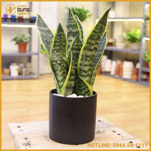 10+ Món Quà Chia Tay Đồng Nghiệp Ý Nghĩa & Cao Cấp