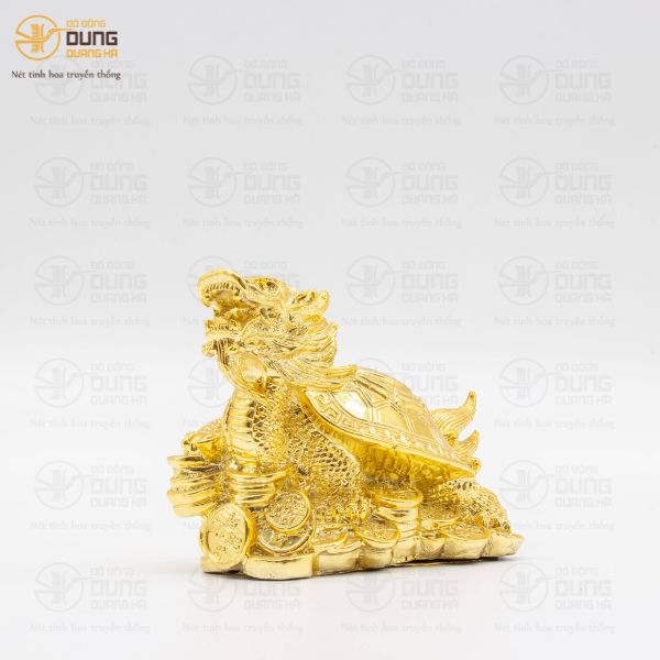 Giải Mã Vì Sao Rùa Đầu Rồng Được Ưa Chuộng   