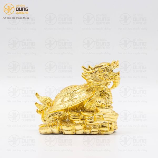 Giải Mã Vì Sao Rùa Đầu Rồng Được Ưa Chuộng   