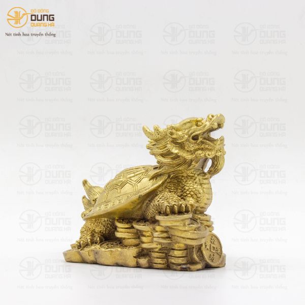 Giải Mã Vì Sao Rùa Đầu Rồng Được Ưa Chuộng   