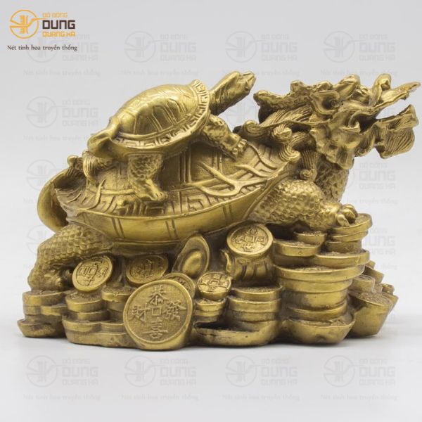 Giải Mã Vì Sao Rùa Đầu Rồng Được Ưa Chuộng   