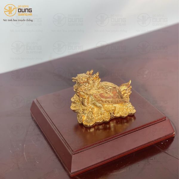 Giải Mã Vì Sao Rùa Đầu Rồng Được Ưa Chuộng   