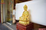 Tượng Đức Phật Thích Ca Mâu Ni bằng đồng mạ vàng 24k