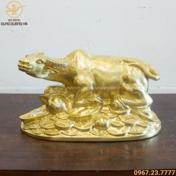 Tượng trâu đồng phong thủy nằm trên tiền bằng đồng catut