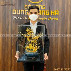 Lan hồ điệp lưu niệm loại 5 cành xoè cao 40 cm mạ vàng 24k