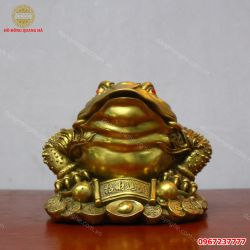 Cóc ngậm tiền bằng đồng vàng đặt bàn thờ thần tài