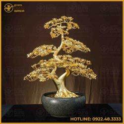 Quà tặng chậu mai đồng vàng mạ vàng cao 75cm