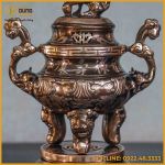 Đỉnh hoa sòi đồng đỏ cạo màu cao 45cm