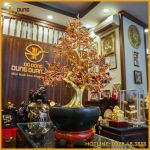 Cây đào đồng vàng mạ vàng cao 75cm