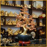 Cây đào đồng vàng mạ vàng cao 75cm