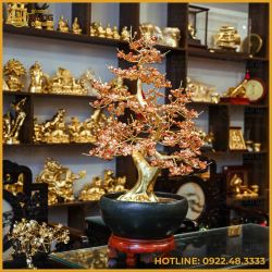 Cây đào đồng vàng mạ vàng cao 75cm