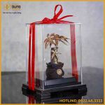 Quà lưu niệm cây kim tiền thân thẳng đồng vàng mạ vàng cao 22cm