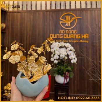 Quà tặng chậu hoa lan bằng đồng mạ vàng