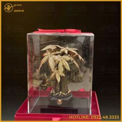 Hộp quà tặng cây kim tiền mạ vàng
