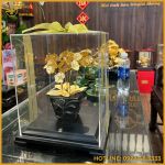 Quà tặng chậu hoa lan 6 cành mạ vàng cao cấp