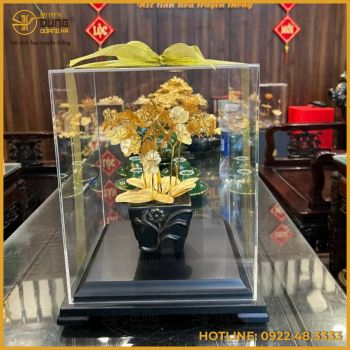 Quà tặng chậu hoa lan 6 cành mạ vàng cao cấp