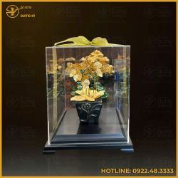 Quà tặng chậu hoa lan 6 cành mạ vàng cao cấp